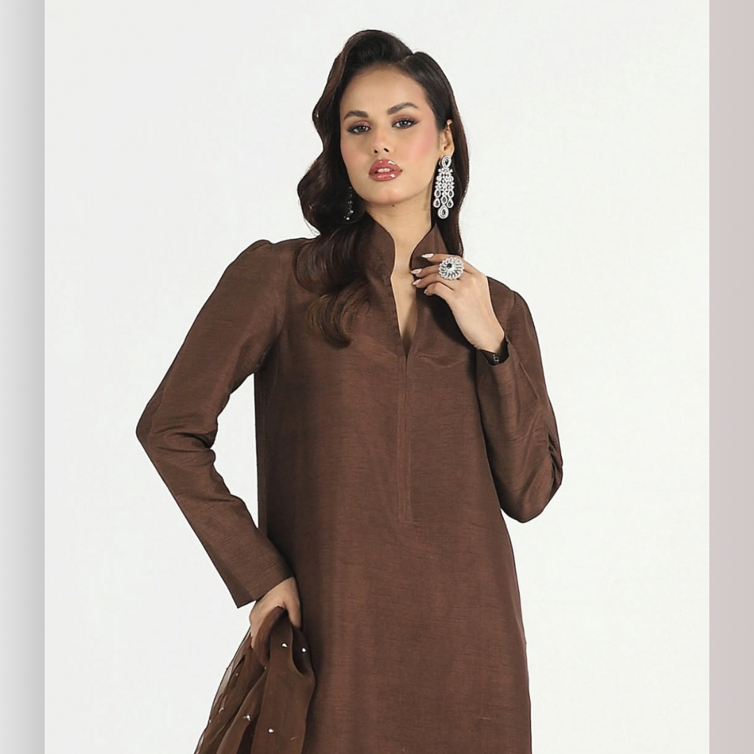 VEENA-PURE RAW SILK ChoiceFabrics