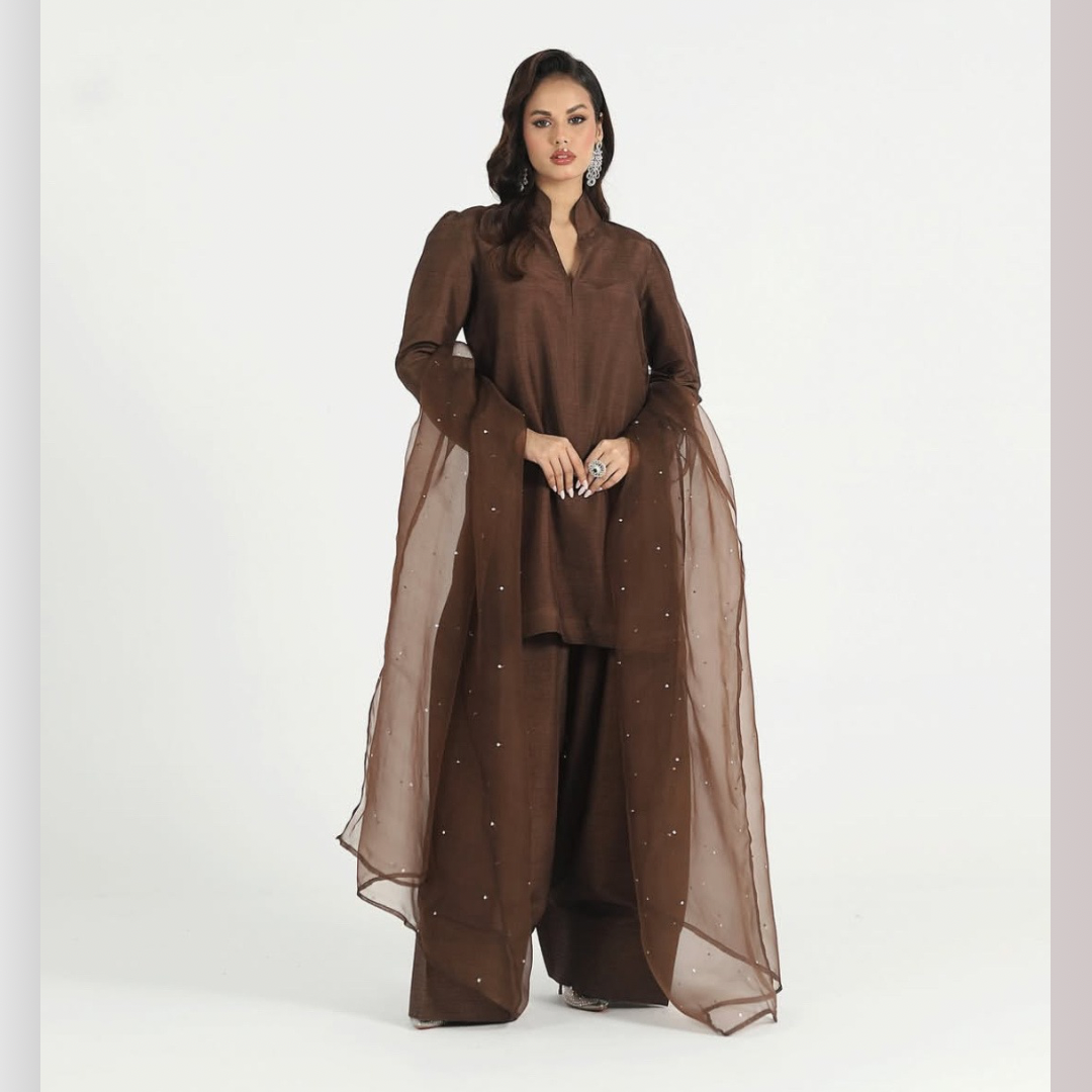 VEENA-PURE RAW SILK ChoiceFabrics